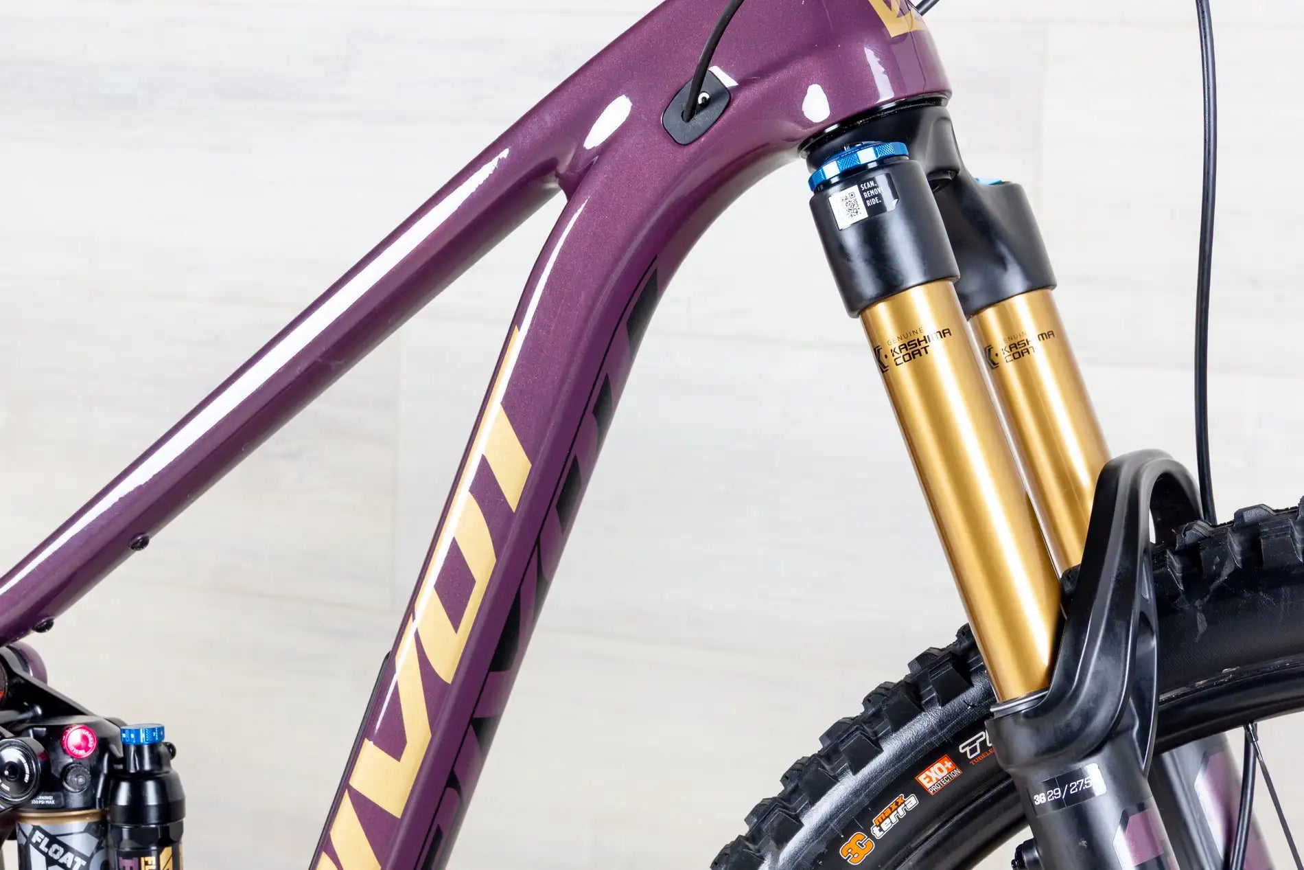 Pivot Trailcat LT Team - 2025, X-Small