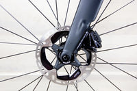 Quintana Roo PR SIX2 - 2023, 56 cm