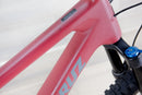 Santa Cruz 5010 C - 2021, Large