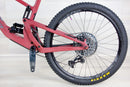Santa Cruz 5010 C - 2021, Large