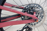 Santa Cruz 5010 C - 2021, Large