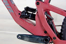 Santa Cruz 5010 C - 2021, Large