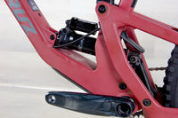 Santa Cruz 5010 C - 2021, Large