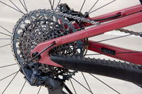 Santa Cruz 5010 C - 2021, Large