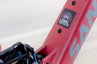 Santa Cruz 5010 C - 2021, Large