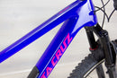 Santa Cruz Tallboy C - 2023, Large