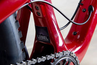 Santa Cruz 5010 C Custom - 2019, Large