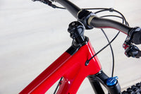 Santa Cruz 5010 C Custom - 2019, Large