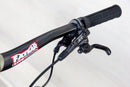Santa Cruz 5010 C Custom - 2019, Large