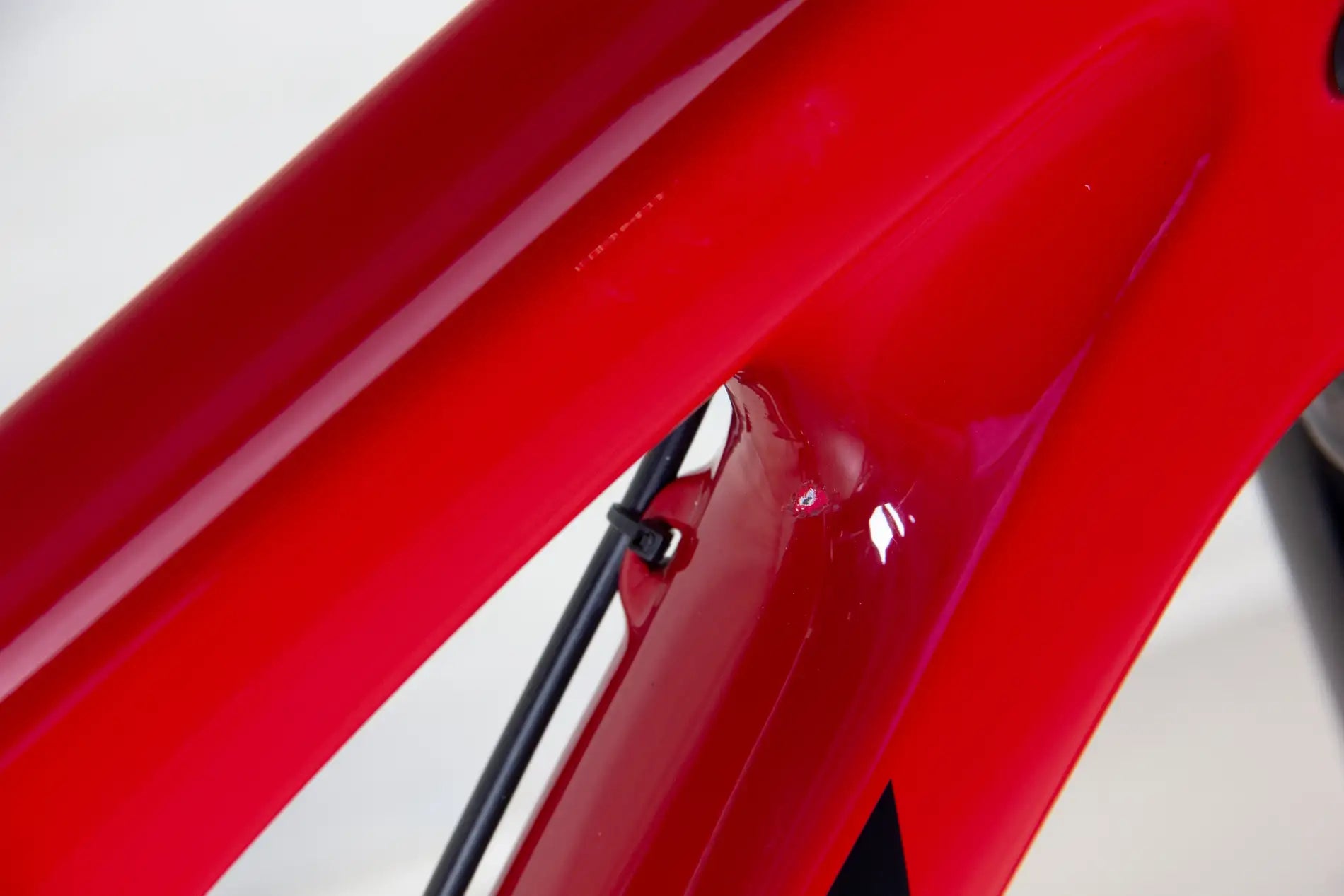 Santa Cruz 5010 C Custom - 2019, Large