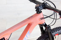 Santa Cruz Blur C - 2023, Medium