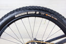 Santa Cruz 5010 C - 2020, Medium