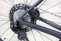 Santa Cruz Stigmata (custom) - 2024-25, Large