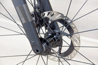 Santa Cruz Stigmata (custom) - 2024-25, Large