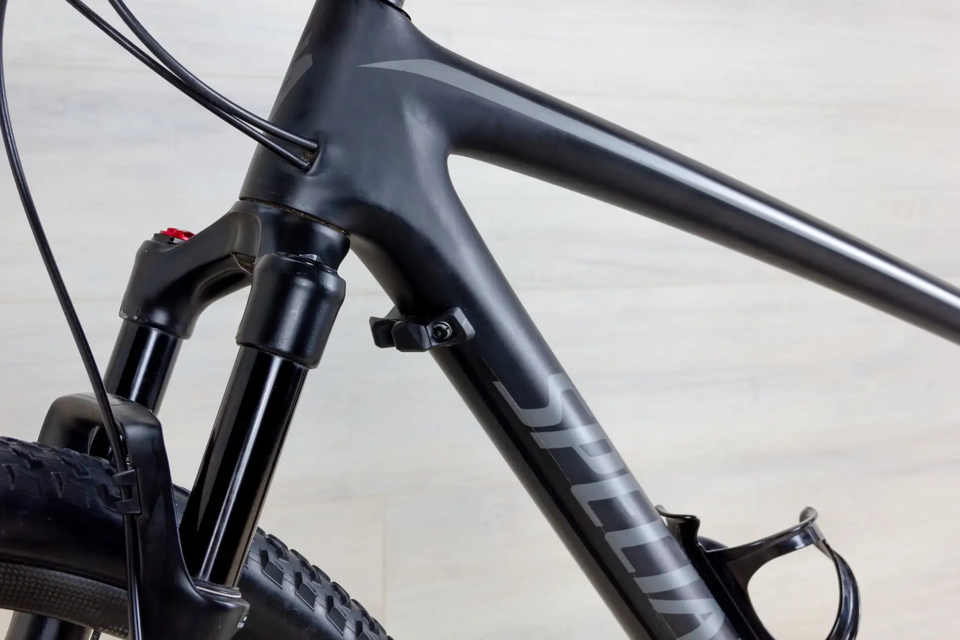 Specialized Epic - 2019, Large