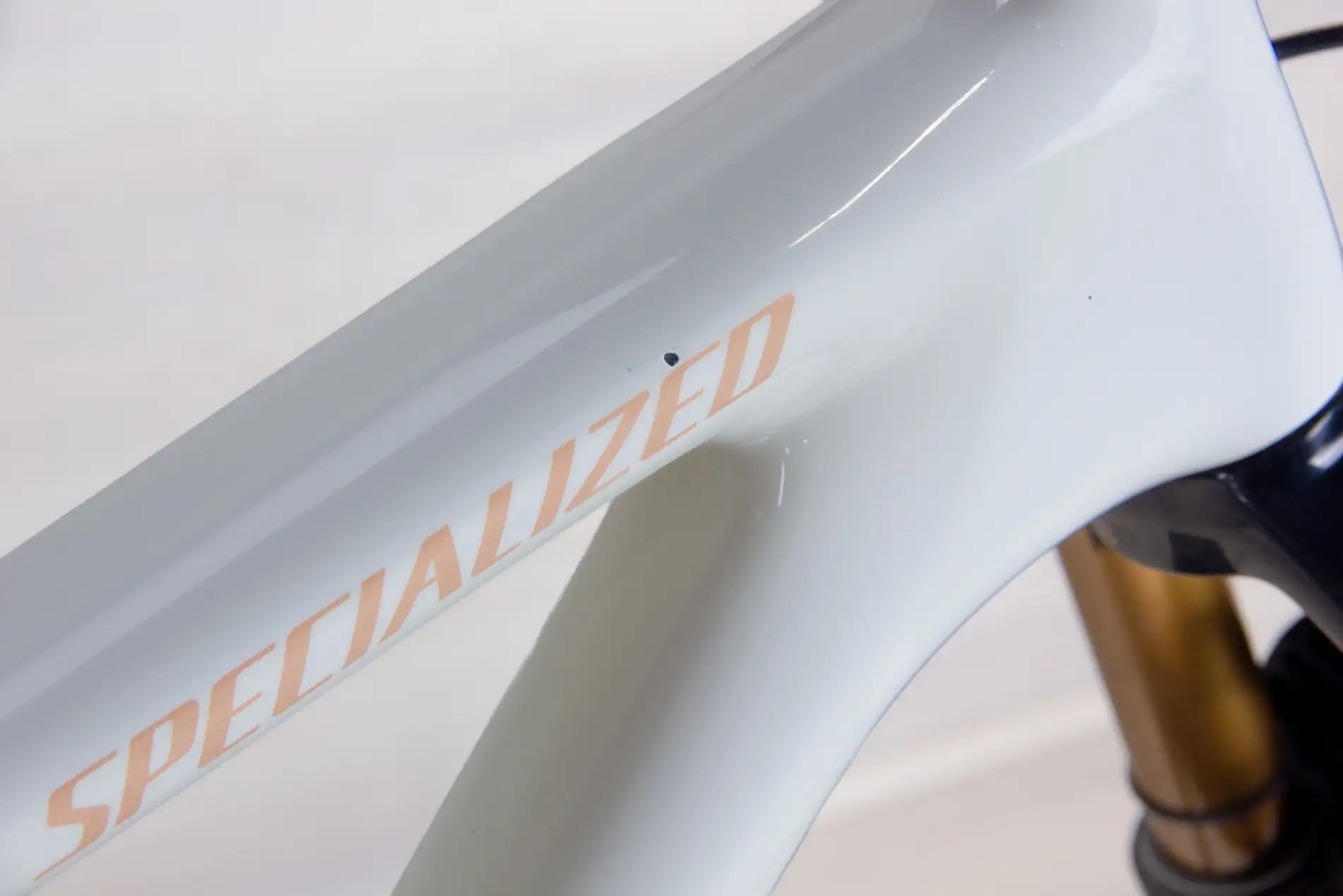 Specialized Epic EVO Pro - 2023, Medium