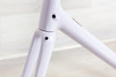 Specialized Aethos Frameset - 2022, 61 cm