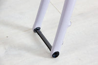 Specialized Aethos Frameset - 2022, 61 cm