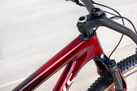 Specialized Epic S-Works World Cup - 2025, Medium