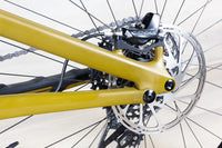 Specialized Stumpjumper EVO Comp Custom - 2024, S4/Large