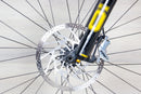 Specialized Turbo Levo Custom - 2023, S4/ Large