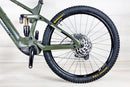 Transition Repeater - 2023, Large