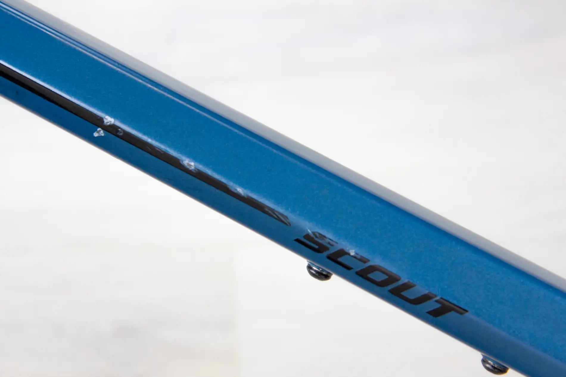 Transition Scout - 2021, X-Large