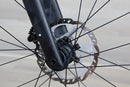 Trek Domane + SLR - 2025, 60cm/X-Large