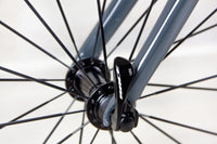 Trek Domane - 2019, 54 cm