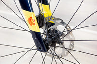 Trek Domane SLR Segafredo Zanetti - 2024-25, 56 cm