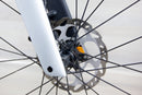 Trek Madone SLR - 2024, 58 cm