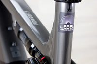 NEW Trek Powerfly FS+ 4 - 2025, X-Large