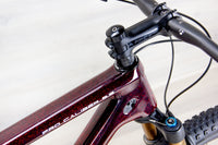 Trek Procaliber 9.9 (custom) - 2021, Large