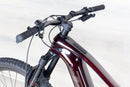 Trek Rail 9.7 Gen 4 - 2023, Small