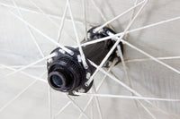 Berd HAWK30 Carbon 29", XDR, Center Lock